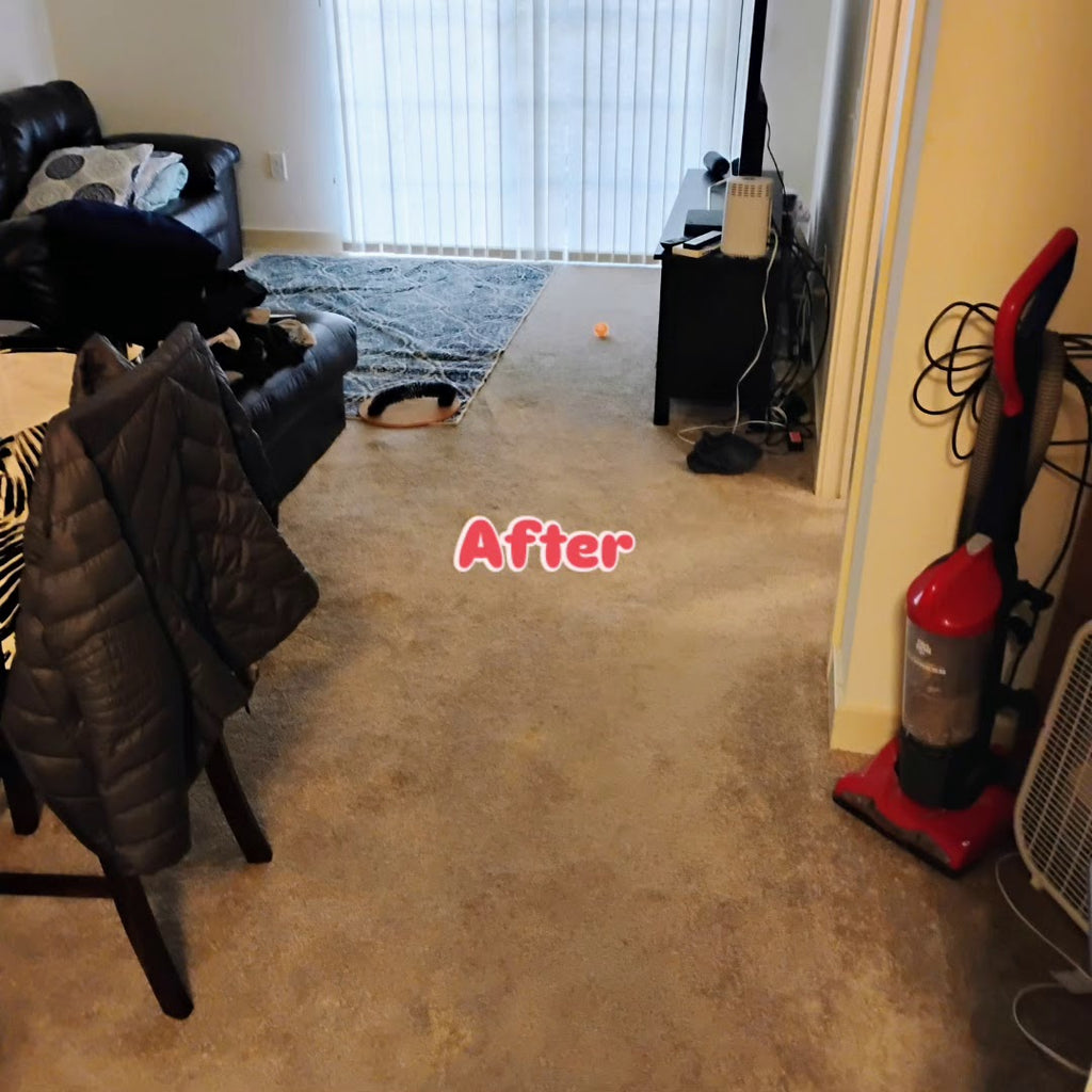 Pet Cleaning Services